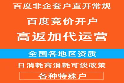 某电商企业如何通过百度竞价广告提升销售额